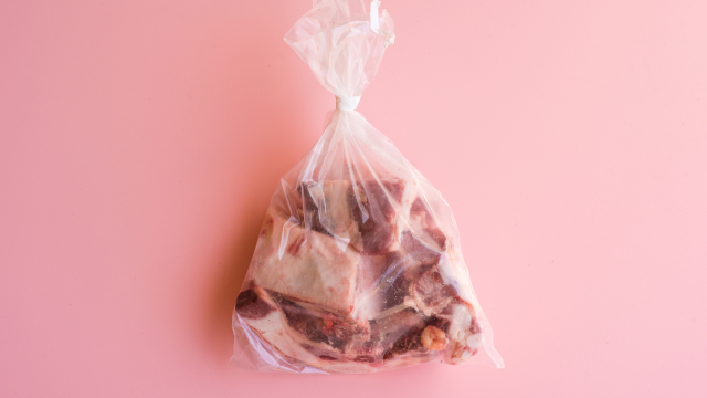 Meat Bag by Hannah Gregory – Okay Donkey